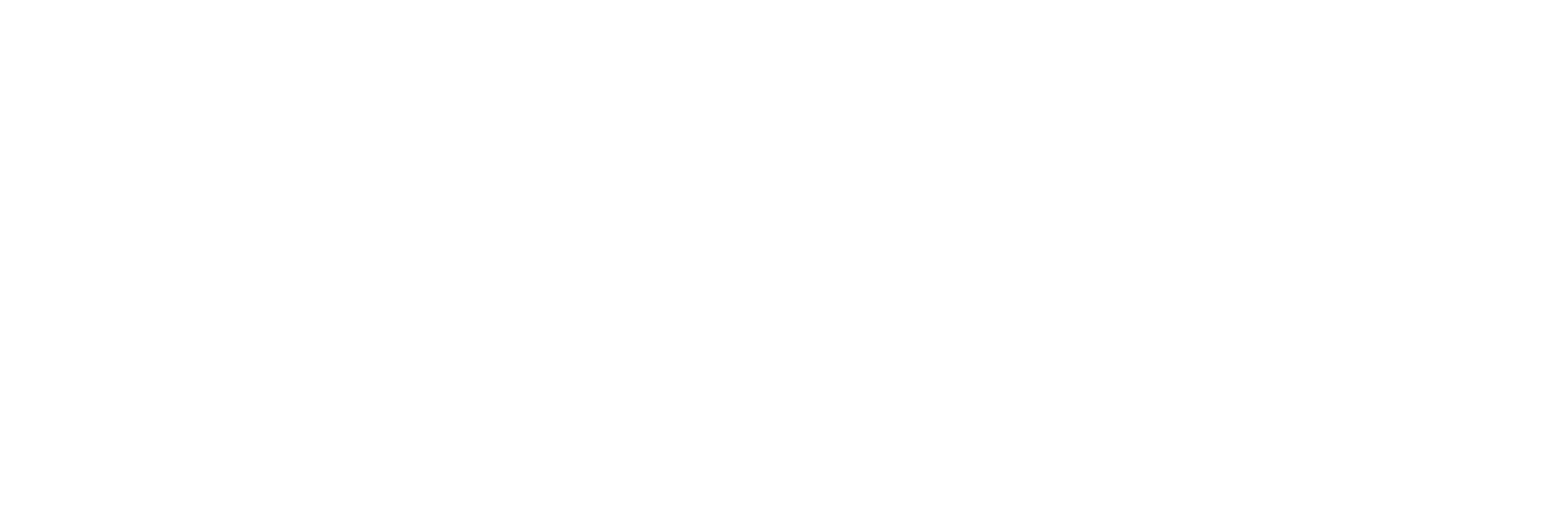 Rostel Logo